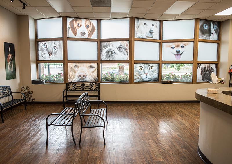 Veterinary Hospital in Green Bay