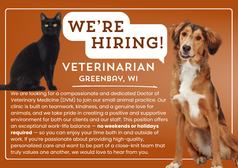 Carousel Slide 3: We're Hiring, Learn More >>